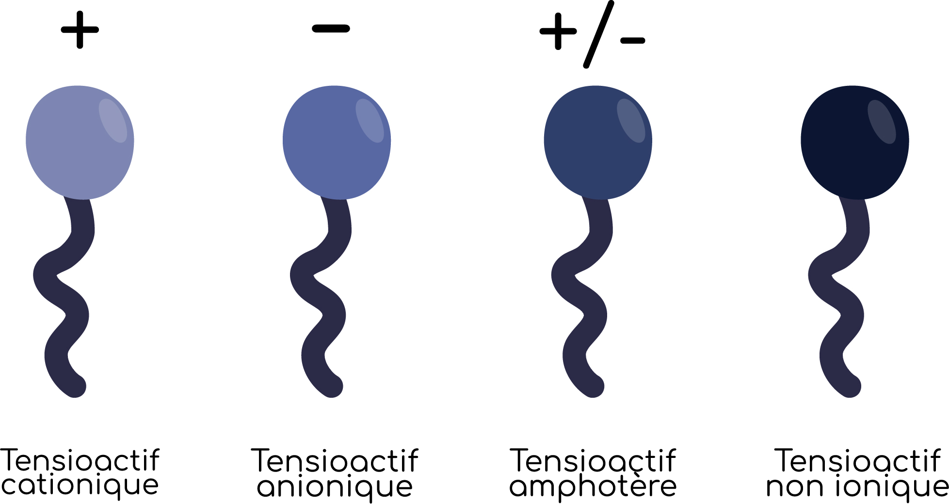 Les différents tensioactifs